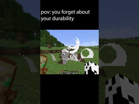 I Forgot About Mending