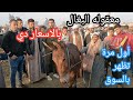 معقوله البغال بالاسعار دي ولأول مرة تظهر بالسوق من سنتين تخيلوا سعرها بكده الحمير افضل ولا البغال 