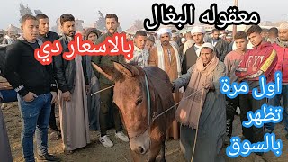 معقوله البغال بالاسعار دي ولأول مرة تظهر بالسوق من سنتين تخيلوا سعرها بكده الحمير افضل ولا البغال؟