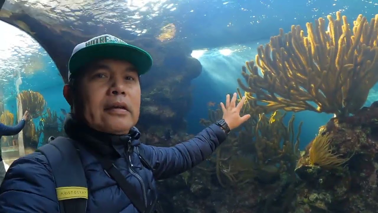 Bermuda Aquarium, Museum and Zoo Tour 2023 