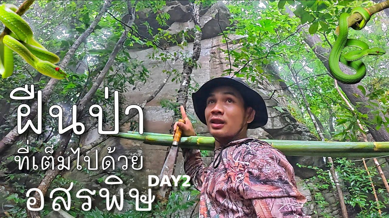 อยูป่าวันที่2ยามกับดัก//ຢູ່ປ່າວັນທີ2ຢາມກັບດັກ Hieng บ่าวเฮียง คนหากิน 