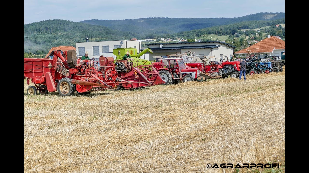 Dreschkirtag Rechnitz | Hanomag, Steyr, Claas, IHC, Massey Fergusson, Epple