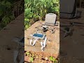 drone video #shortvideo #drone #velocidrone #automobile #djidrone #fpv #dji #video #djimini2