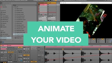 EboSuite Quick-tip - How to animate your video
