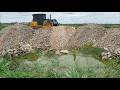 Massive Rocks Filling Into Pond Completed! SHANTUI Bulldozer Pushing & DumpTruck12wheels Unloading