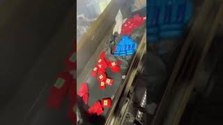 Polícia Federal incinera 4 toneladas de drogas em ManausCocaína, maconha, skunk e pasta base.