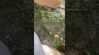 J'ai sauter et...