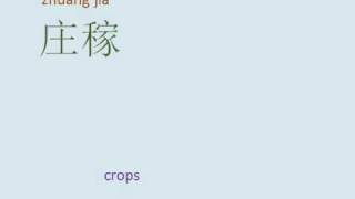 zhuangjia