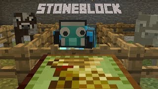 StoneBlock - BACKUP MARKET [E15] (Modded Minecraft)