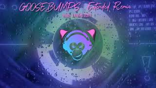 Hvme X Travis Scott - Goosebumps Extended Remix