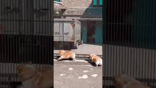 Celebrity OH HI ! IM VERY EXCITED ! AS ALWAYS 🤣 Wealth