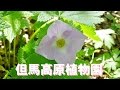 但馬高原植物園 の動画、YouTube動画。