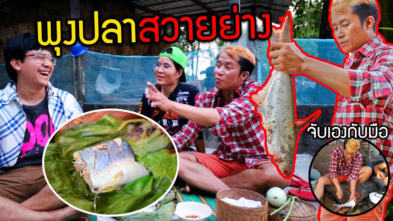 ท้องปลาสวายย่างใบตองหอมๆกินคู่พริกน้ำปลา จับมาสดๆจากบ่อที่ร้อยเอ็ด กับเมียสุดที่รัก