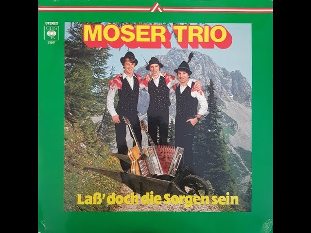 Moser Trio - Wenn die Wälder leise rauschen