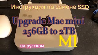 Инструкция по замене SSD на Mac mini M1