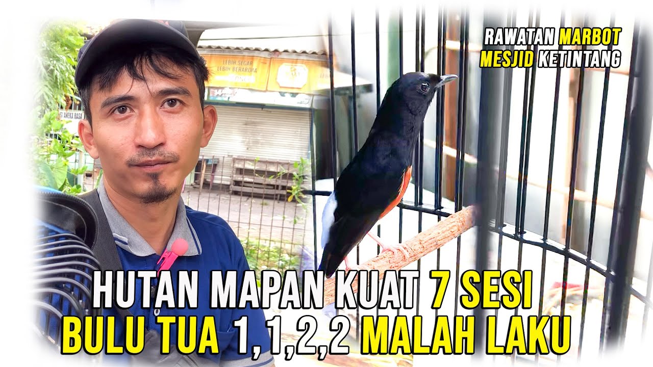 MARBOT TERBAHAGIA RAMADHAN INI 8JT  JADI -160 JT GRESIK 1