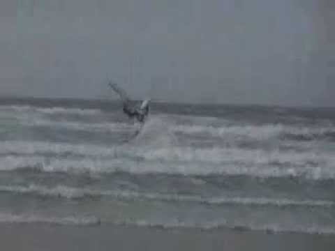 wave dossen