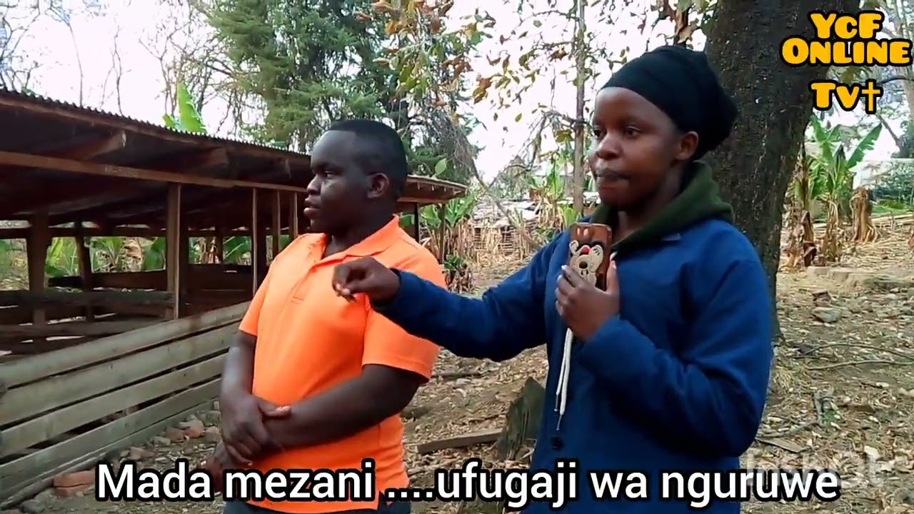Ufugaji wa nguruwe wa kitaalamu