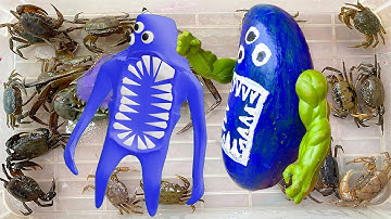 Kem Ốc Chanel lấy kiếm phát sáng bắt quái vật, quái vật nhà trẻ, cứu con cua, con vịt. Làm xoài lắc.