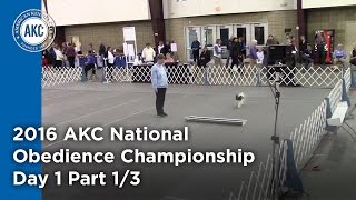 National Obedience Championship 2016 Day 1 Part 1/3