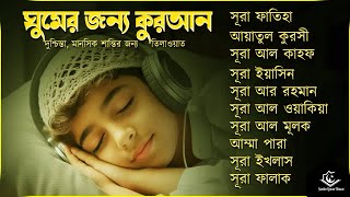 Mushuk va katta sik Polshalik ayolning mushuki bor