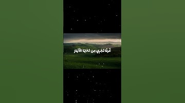 كُلُّ نَفْسٍ ذَائِقَةُ الْمَوْتِ ثُمَّ إِلَيْنَا تُرْجَعُونَ سورة العنكبوت