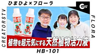 【 HB-101】 親子で一緒に楽しく　家庭菜園にチャレンジ