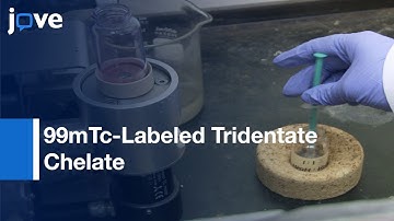 99mTc-Labeled Tridentate Chelates: Pre-Targeting Using Bioorthogonal Chemistry l Protocol Preview