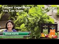 The 10 Fastest Growing Vegetables for Instant Gratification with Black Gold®