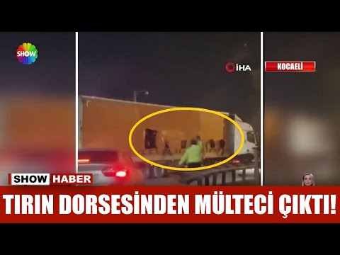 Tırın dorsesinden mülteci çıktı!