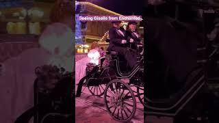 Giselle At Princess Nite disneyland disneyparksenchanted princess everafter disneyprincess