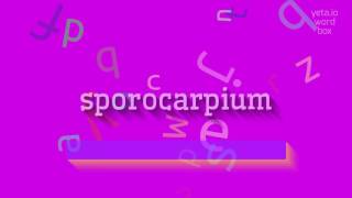 WIE SPRICHT MAN SPOROCARPIUM AUS?  #sporocarpium (HOW TO PRONOUNCE SPOROCARPIUM? #spo