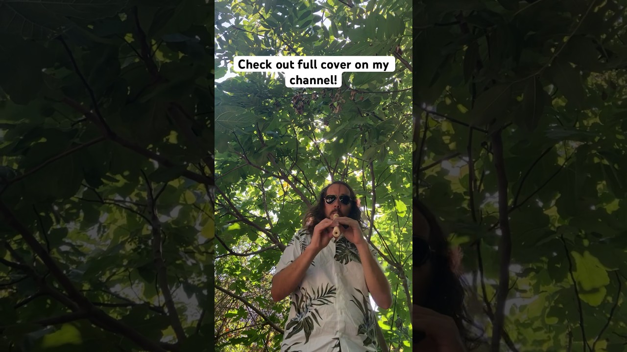 RHCP - Can’t stop recorder cover teaser 