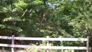 VIDEO0014.3gp