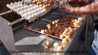 Egg Grading Machine EGM4500   10 000