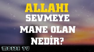 Allahı Sevməyə Mane Olan Nədir? - Hacı Şahin - Dini Statuslar 2020