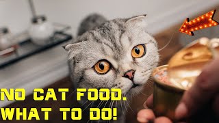 Ran out of cat food - What can i use - Homemade Food Solutions