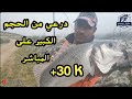           fishing maroc     jewfish