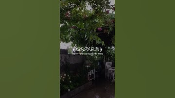 قال رب اني وهن العظم مني || ما تيسر من #سورة_مريم #تلاوة_خاشعة #قران_كريم