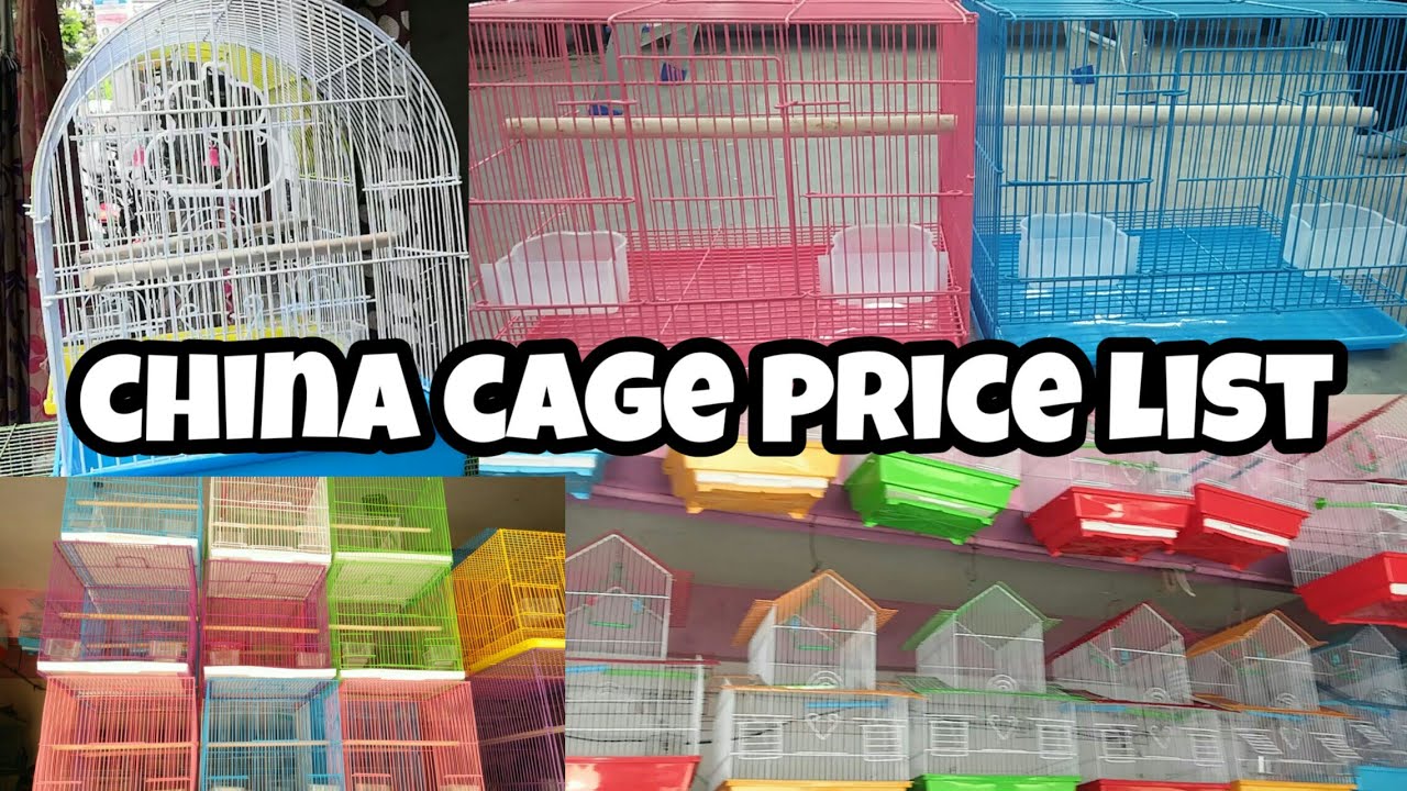 Imported cages price list in தமிழ் YouTube