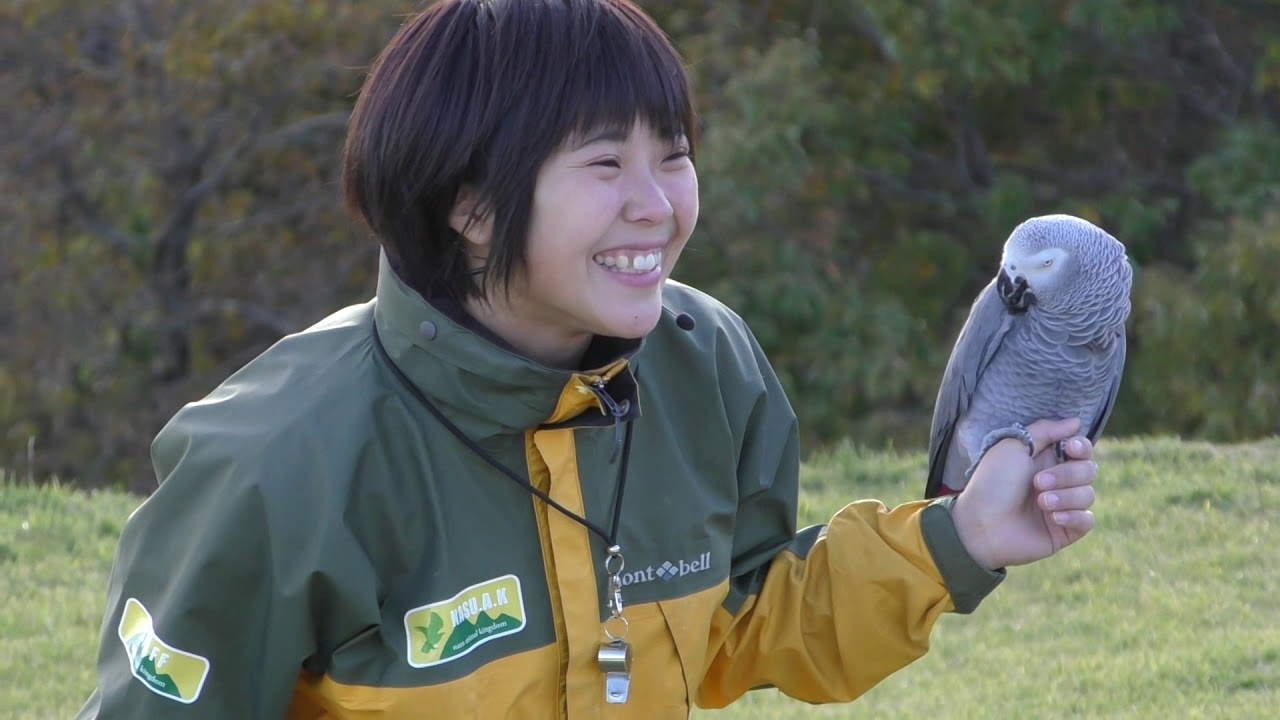 ヨウム の「オリビア」が主役！バードパフォーマンスショー　那須どうぶつ王国へ行って来ました〜！