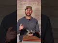 Smith and Wesson Shield Plus Highlights! (Want to See More?)