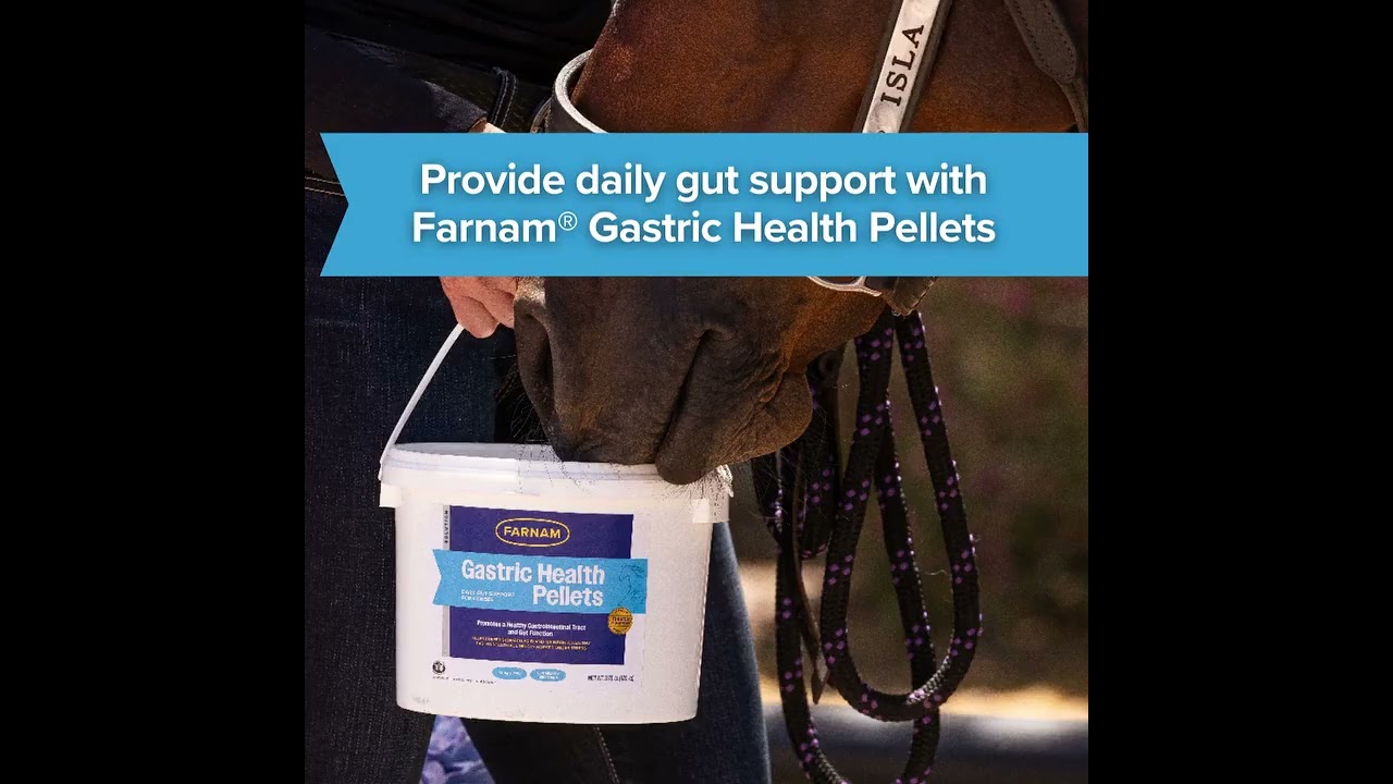 Farnam Gastric Health Pellets