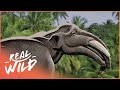 Uncovering The Dinosaurs Of The Great Plains | Paleo Sleuths | Real Wild