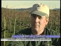 AGROTECNOLOGIA DE ISRAEL. MEDIDAS PARA EL DESARROLLO, MEDIDAS CONTRA LA CRISIS.