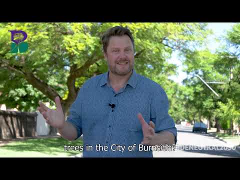 Burnside Neutral 2030 Episode 12 - Urban Forest Interactive