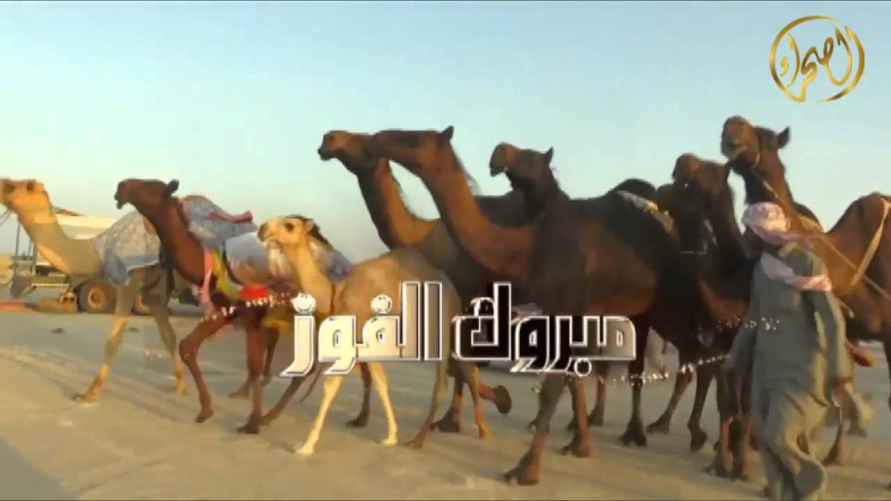 فرديات السيد عيسى بن سعيد المنصوري اداء المنشد جفران المري رحمه الله