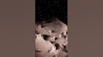 pyro spread advect particles #houdini #blender #3dcompositing #design #blender3d #cgi #animation