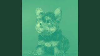 Carefree Music for Moods