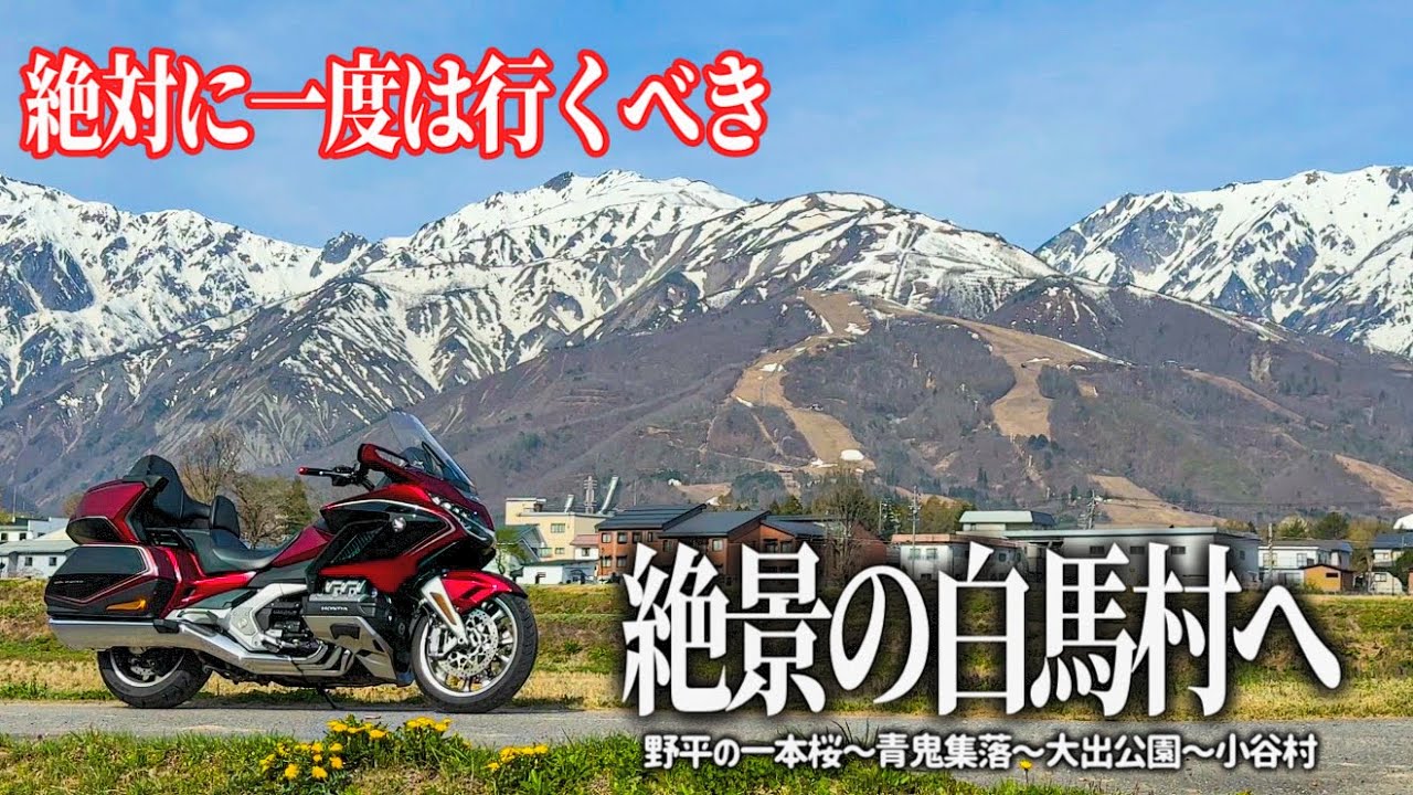 【長野バイク旅】絶対に行くべき絶景…。白馬村にある野平の一本桜から日本の原風景を感じさせる青鬼集落と北アルプスが一望できる大自然を満喫しました。【HONDA Gold Wing/モトブログ】